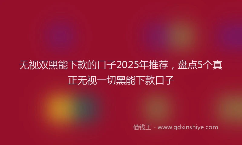 无视双黑能下款的口子2025年推荐，盘点5个真正无视一切黑能下款口子