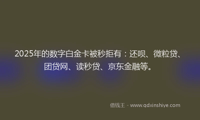 2025年的数字白金卡被秒拒有：还呗、微粒贷、团贷网、读秒贷、京东金融等。