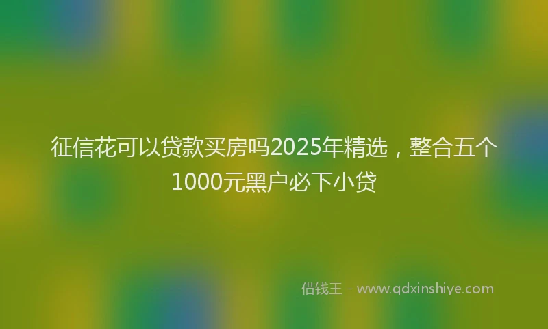 征信花可以贷款买房吗2025年精选，整合五个1000元黑户必下小贷