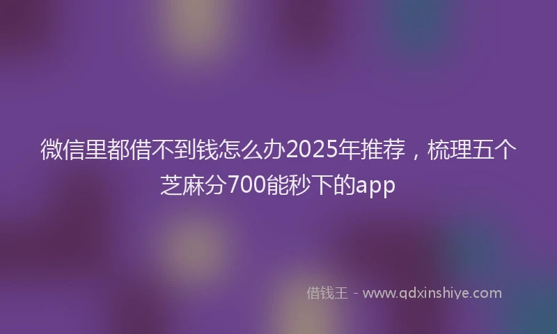 微信里都借不到钱怎么办2025年推荐，梳理五个芝麻分700能秒下的app