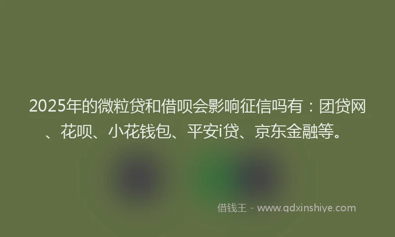2025年的微粒贷和借呗会影响征信吗有：团贷网、花呗、小花钱包、平安i贷、京东金融等。