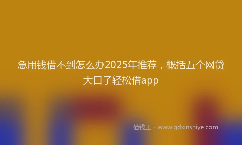 急用钱借不到怎么办2025年推荐，概括五个网贷大口子轻松借app