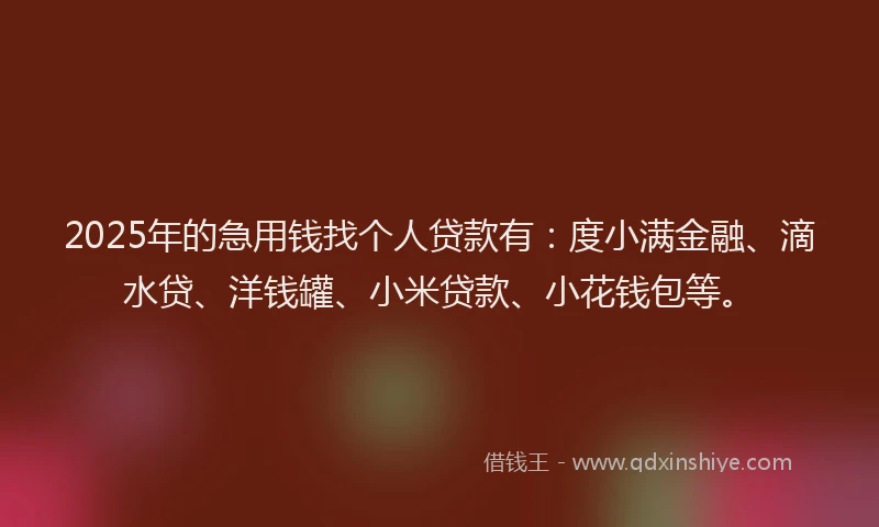 2025年的急用钱找个人贷款有：度小满金融、滴水贷、洋钱罐、小米贷款、小花钱包等。
