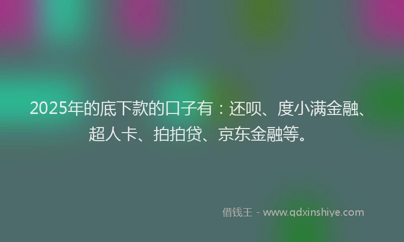 2025年的底下款的口子有：还呗、度小满金融、超人卡、拍拍贷、京东金融等。