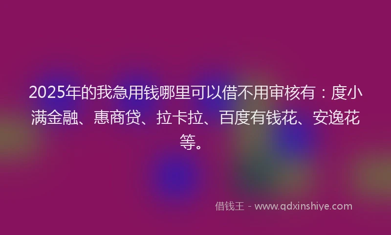 2025年的我急用钱哪里可以借不用审核有：度小满金融、惠商贷、拉卡拉、百度有钱花、安逸花等。