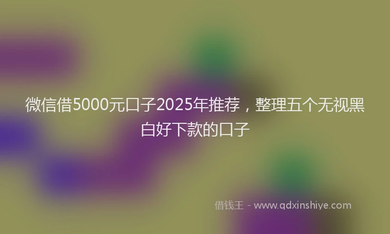 微信借5000元口子2025年推荐，整理五个无视黑白好下款的口子