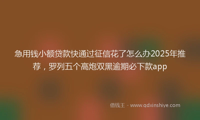 急用钱小额贷款快通过征信花了怎么办2025年推荐，罗列五个高炮双黑逾期必下款app