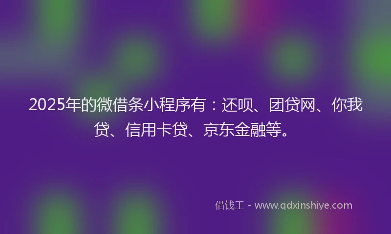 2025年的微借条小程序有：还呗、团贷网、你我贷、信用卡贷、京东金融等。