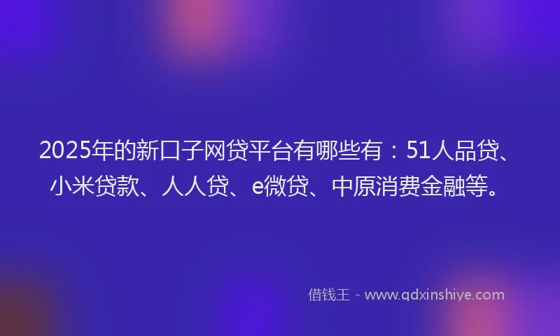 2025年的新口子网贷平台有哪些有：51人品贷、小米贷款、人人贷、e微贷、中原消费金融等。