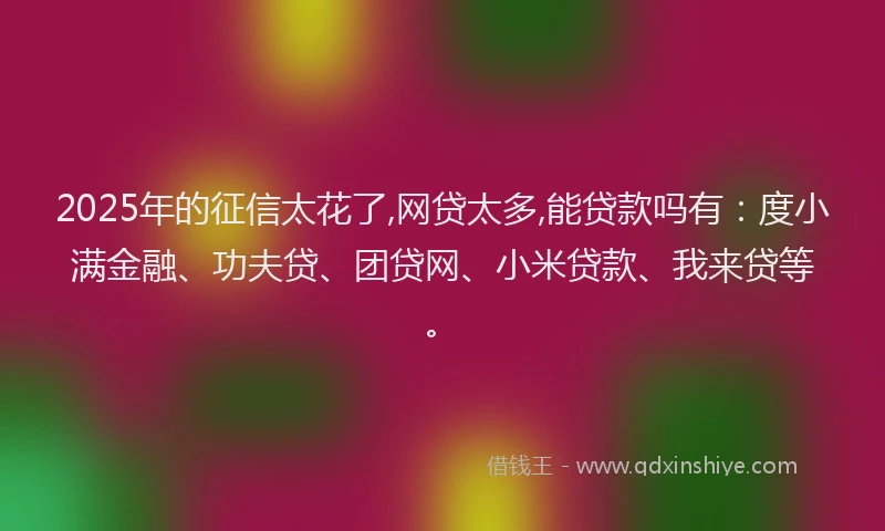 2025年的征信太花了,网贷太多,能贷款吗有：度小满金融、功夫贷、团贷网、小米贷款、我来贷等。