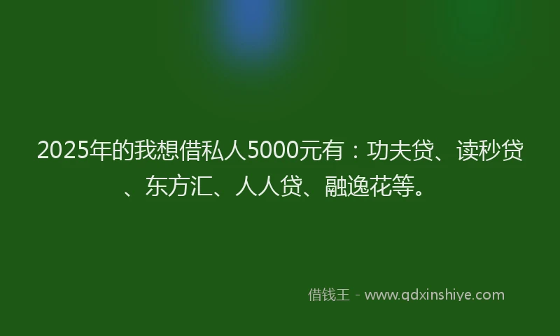 2025年的我想借私人5000元有：功夫贷、读秒贷、东方汇、人人贷、融逸花等。