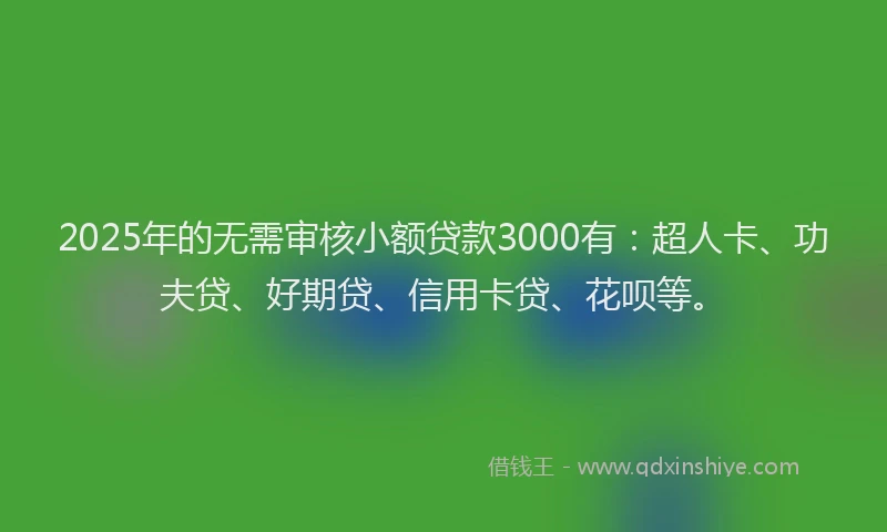 2025年的无需审核小额贷款3000有：超人卡、功夫贷、好期贷、信用卡贷、花呗等。