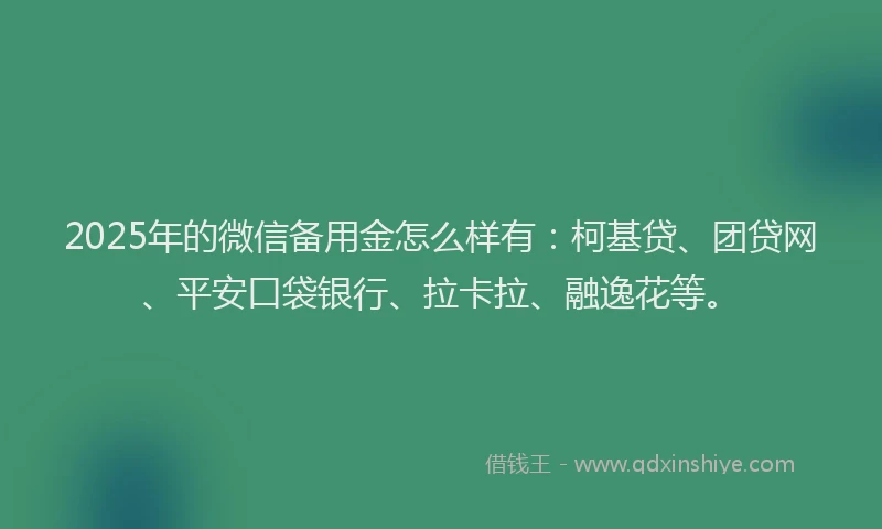 2025年的微信备用金怎么样有：柯基贷、团贷网、平安口袋银行、拉卡拉、融逸花等。