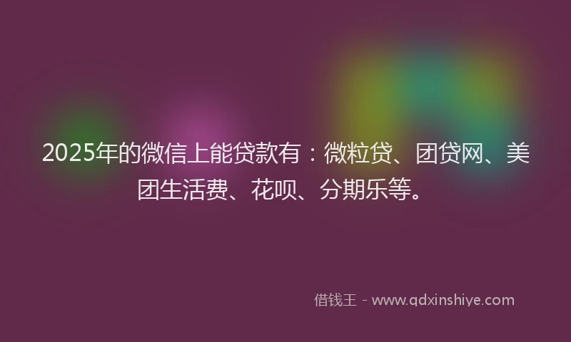 2025年的微信上能贷款有：微粒贷、团贷网、美团生活费、花呗、分期乐等。