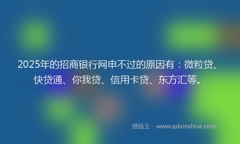 2025年的招商银行网申不过的原因有：微粒贷、快贷通、你我贷、信用卡贷、东方汇等。