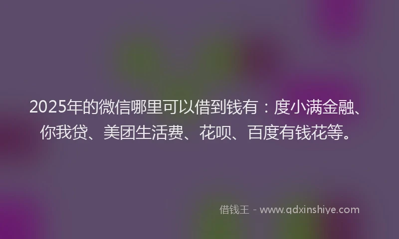 2025年的微信哪里可以借到钱有：度小满金融、你我贷、美团生活费、花呗、百度有钱花等。