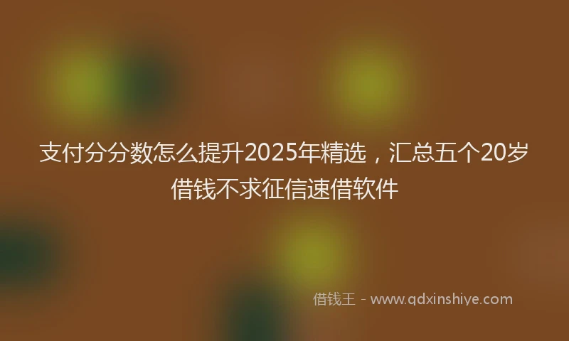 支付分分数怎么提升2025年精选，汇总五个20岁借钱不求征信速借软件