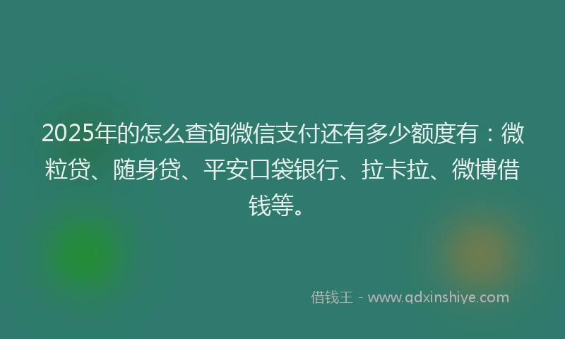 2025年的怎么查询微信支付还有多少额度有：微粒贷、随身贷、平安口袋银行、拉卡拉、微博借钱等。