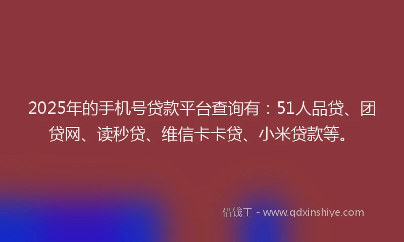 2025年的手机号贷款平台查询有：51人品贷、团贷网、读秒贷、维信卡卡贷、小米贷款等。