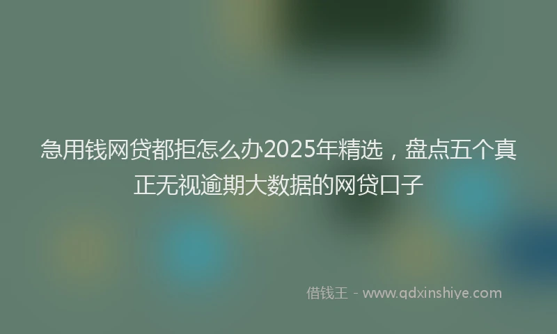 急用钱网贷都拒怎么办2025年精选，盘点五个真正无视逾期大数据的网贷口子