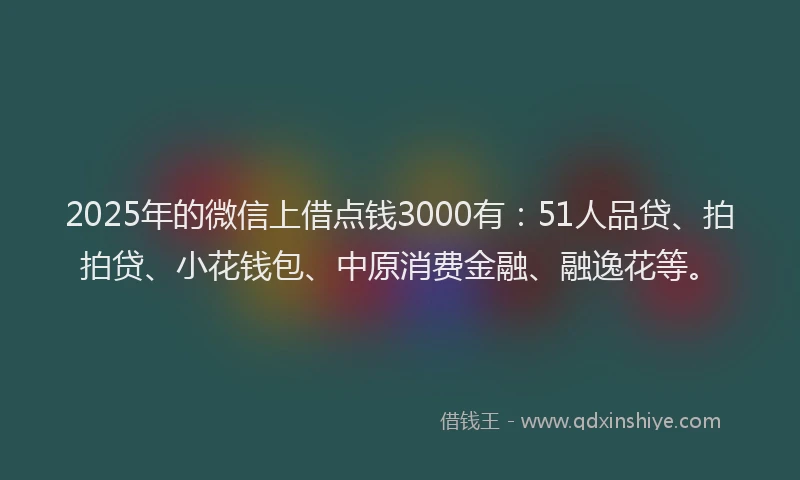 2025年的微信上借点钱3000有：51人品贷、拍拍贷、小花钱包、中原消费金融、融逸花等。