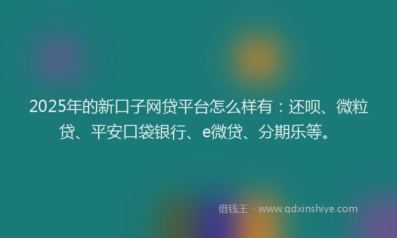 2025年的新口子网贷平台怎么样有：还呗、微粒贷、平安口袋银行、e微贷、分期乐等。