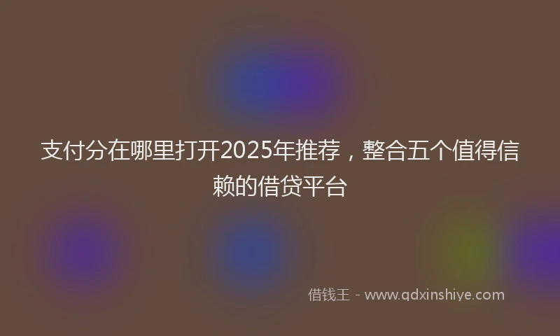 支付分在哪里打开2025年推荐，整合五个值得信赖的借贷平台