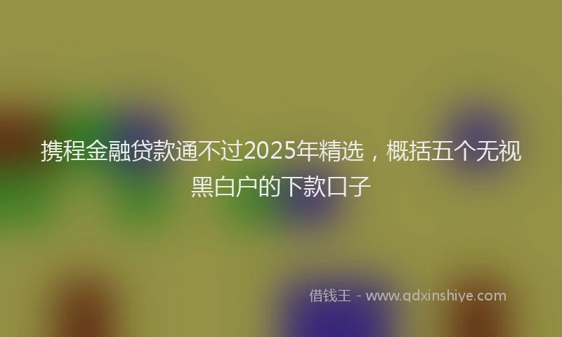 携程金融贷款通不过2025年精选，概括五个无视黑白户的下款口子
