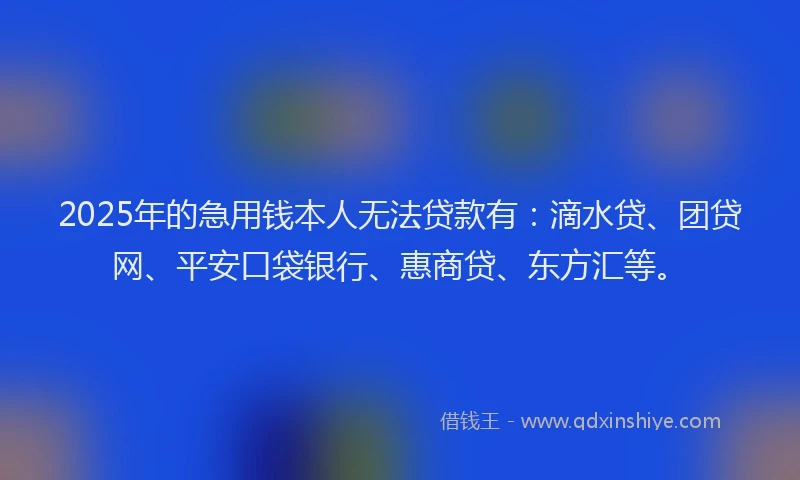 2025年的急用钱本人无法贷款有：滴水贷、团贷网、平安口袋银行、惠商贷、东方汇等。