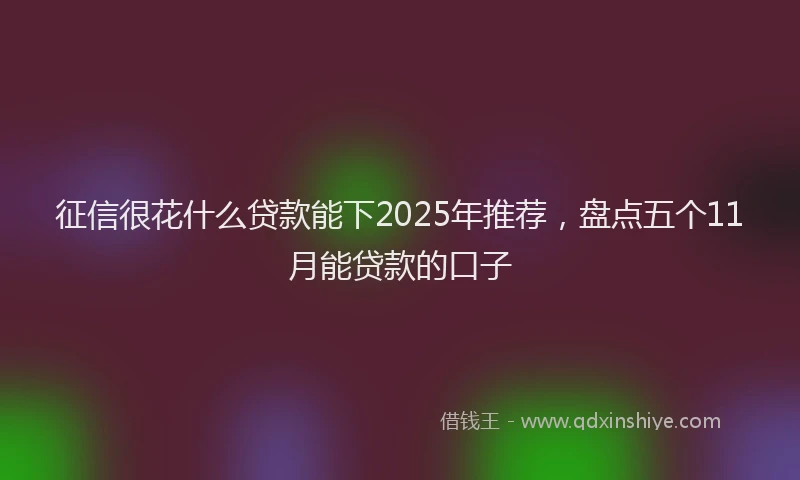 征信很花什么贷款能下2025年推荐，盘点五个11月能贷款的口子