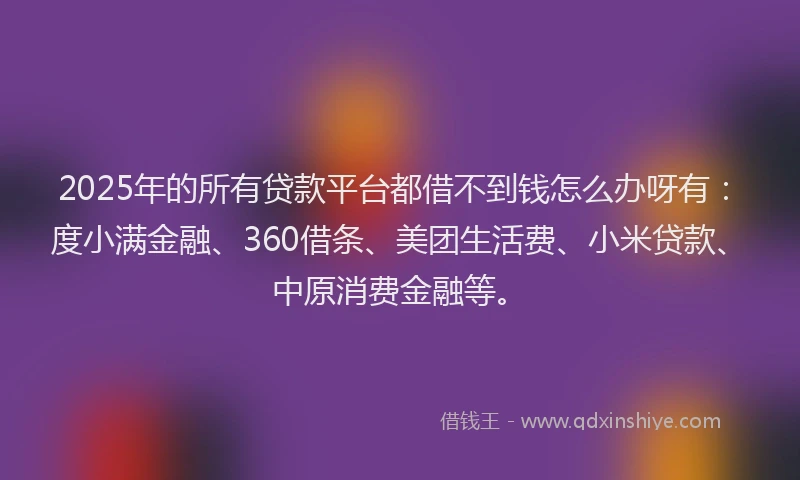 2025年的所有贷款平台都借不到钱怎么办呀有：度小满金融、360借条、美团生活费、小米贷款、中原消费金融等。