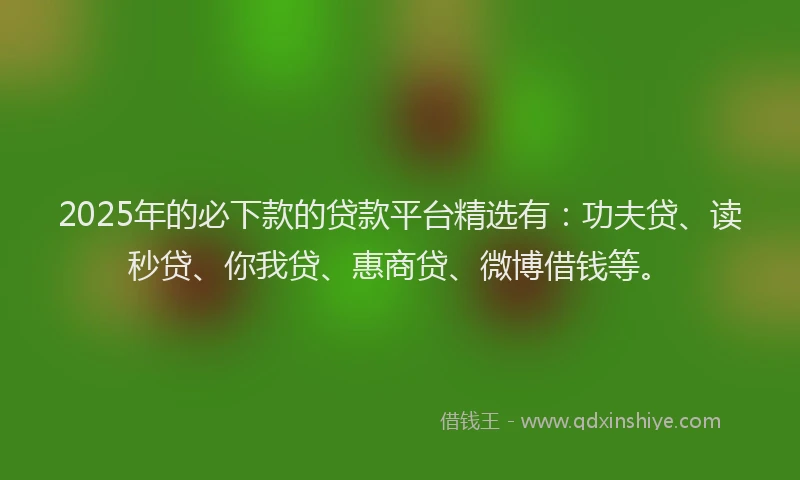 2025年的必下款的贷款平台精选有：功夫贷、读秒贷、你我贷、惠商贷、微博借钱等。