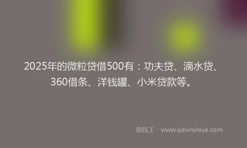 2025年的微粒贷借500有：功夫贷、滴水贷、360借条、洋钱罐、小米贷款等。