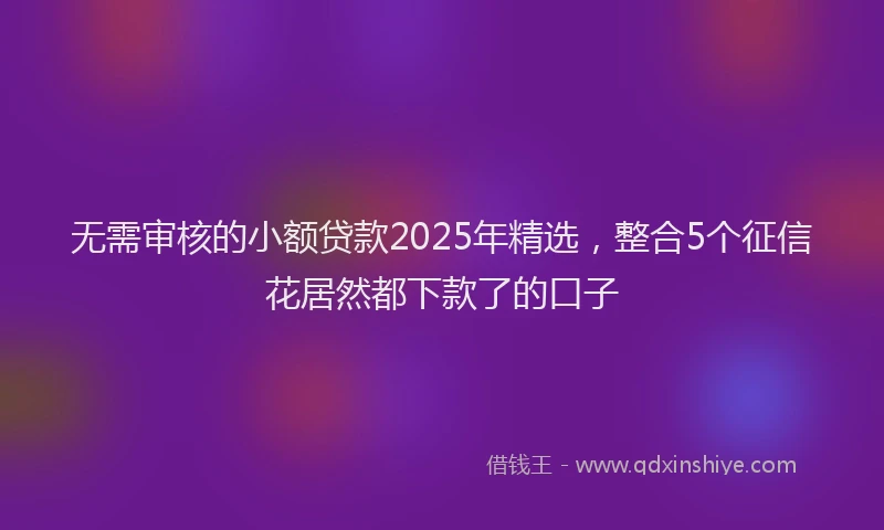 无需审核的小额贷款2025年精选，整合5个征信花居然都下款了的口子