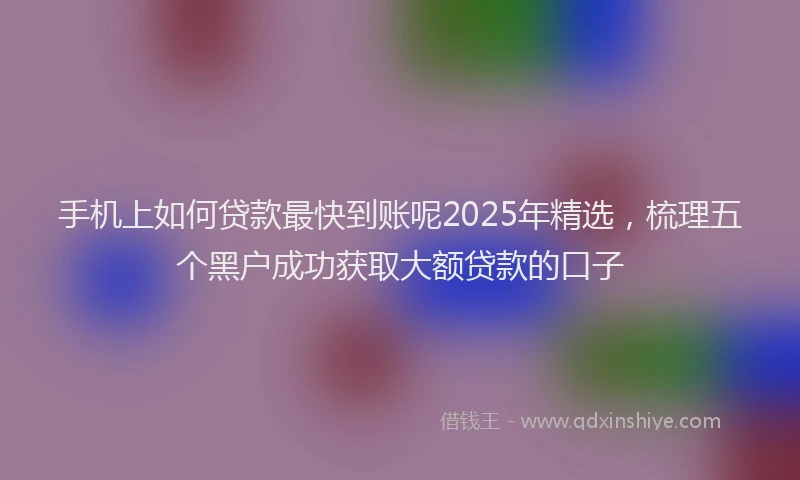 手机上如何贷款最快到账呢2025年精选，梳理五个黑户成功获取大额贷款的口子