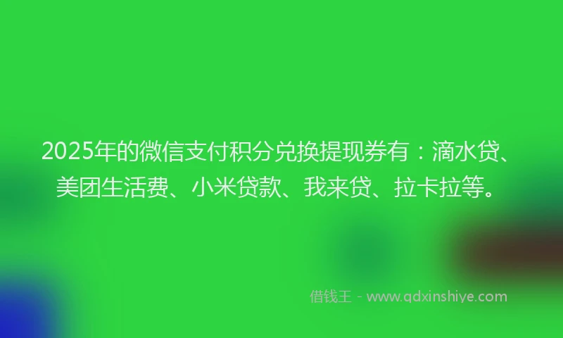 2025年的微信支付积分兑换提现券有：滴水贷、美团生活费、小米贷款、我来贷、拉卡拉等。