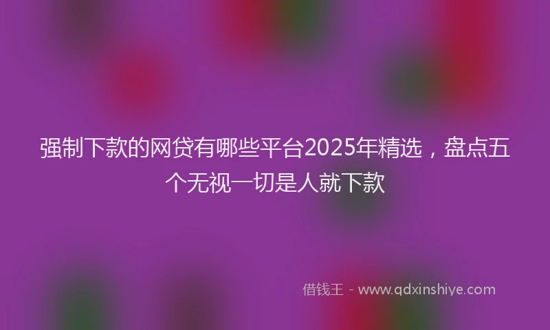 强制下款的网贷有哪些平台2025年精选，盘点五个无视一切是人就下款