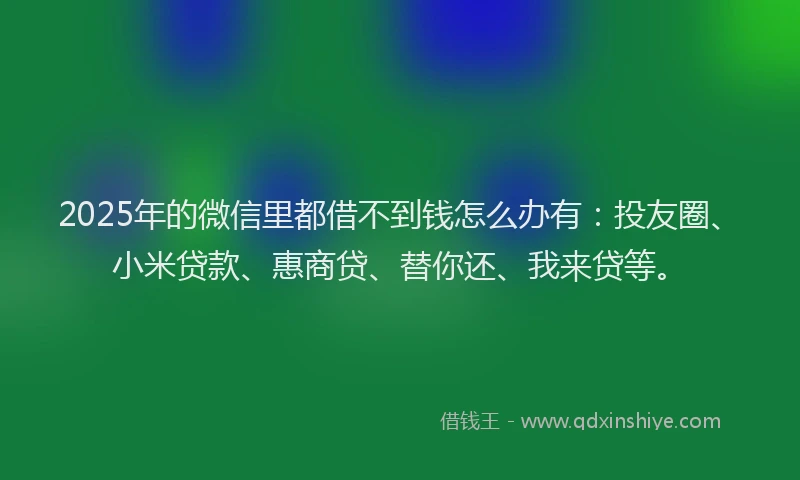 2025年的微信里都借不到钱怎么办有：投友圈、小米贷款、惠商贷、替你还、我来贷等。