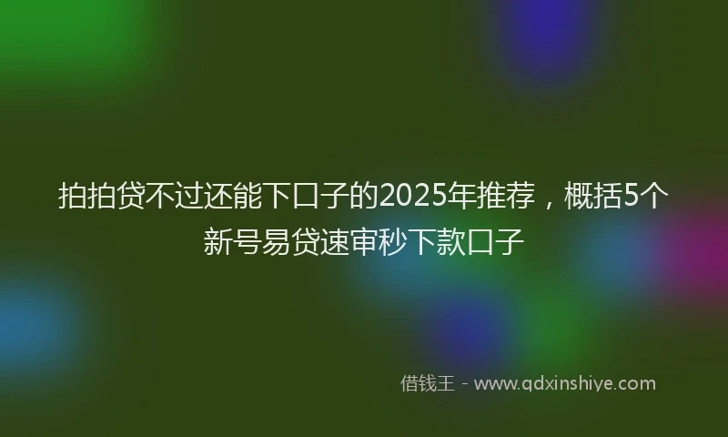 拍拍贷不过还能下口子的2025年推荐，概括5个新号易贷速审秒下款口子