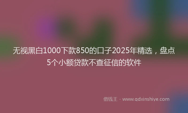 无视黑白1000下款850的口子2025年精选，盘点5个小额贷款不查征信的软件