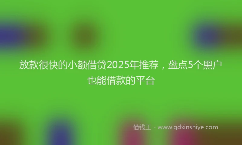 放款很快的小额借贷2025年推荐，盘点5个黑户也能借款的平台