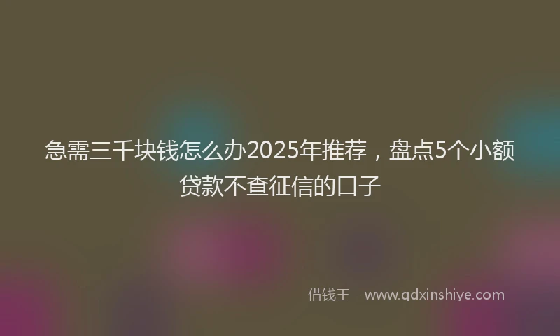 急需三千块钱怎么办2025年推荐，盘点5个小额贷款不查征信的口子