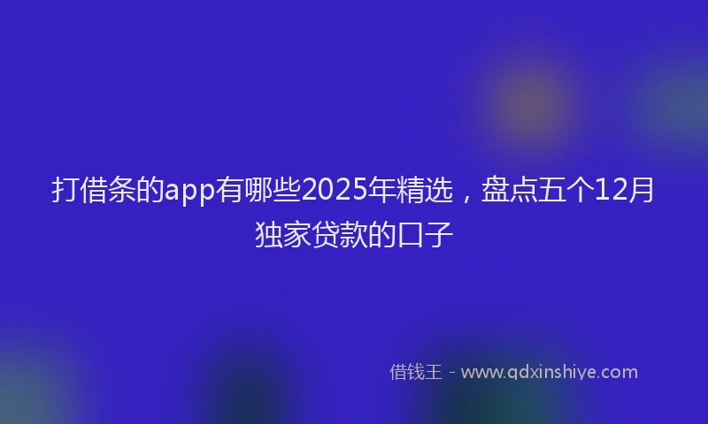 打借条的app有哪些2025年精选，盘点五个12月独家贷款的口子