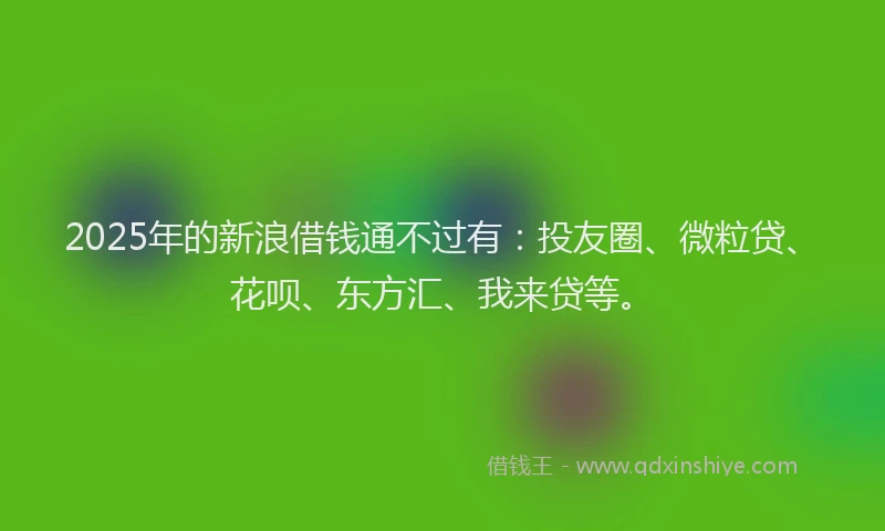 2025年的新浪借钱通不过有：投友圈、微粒贷、花呗、东方汇、我来贷等。