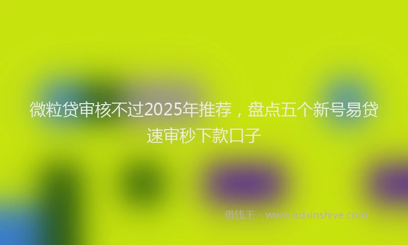 微粒贷审核不过2025年推荐，盘点五个新号易贷速审秒下款口子