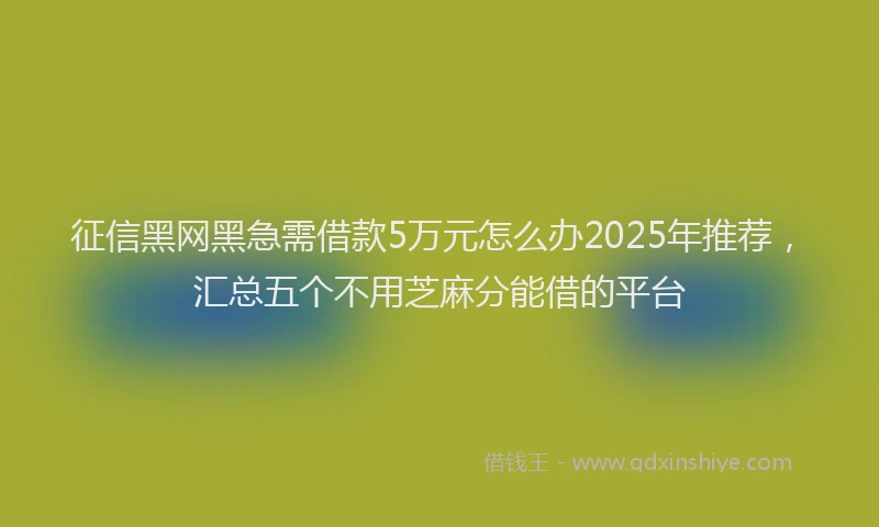 征信黑网黑急需借款5万元怎么办2025年推荐，汇总五个不用芝麻分能借的平台