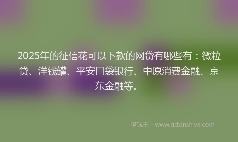 2025年的征信花可以下款的网贷有哪些有：微粒贷、洋钱罐、平安口袋银行、中原消费金融、京东金融等。