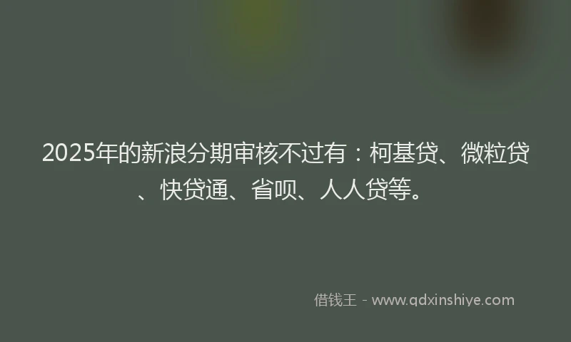 2025年的新浪分期审核不过有：柯基贷、微粒贷、快贷通、省呗、人人贷等。