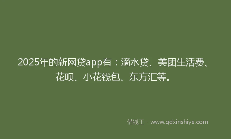 2025年的新网贷app有：滴水贷、美团生活费、花呗、小花钱包、东方汇等。