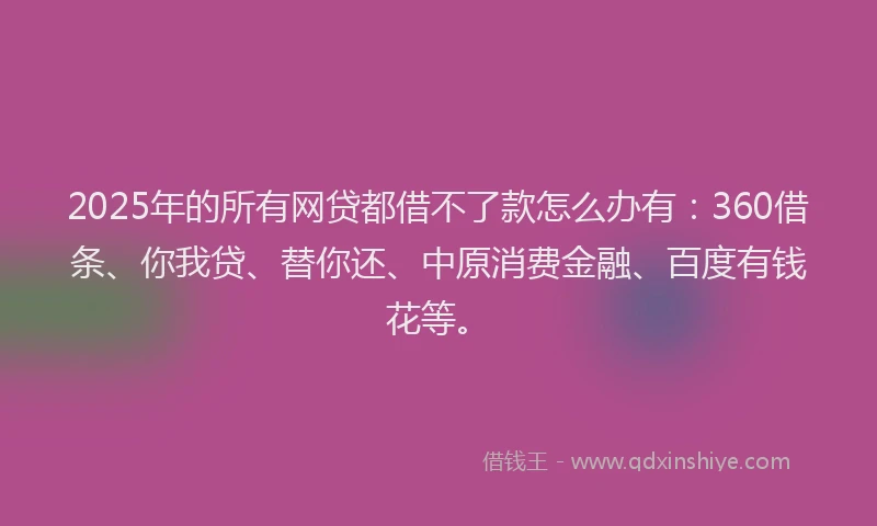 2025年的所有网贷都借不了款怎么办有：360借条、你我贷、替你还、中原消费金融、百度有钱花等。